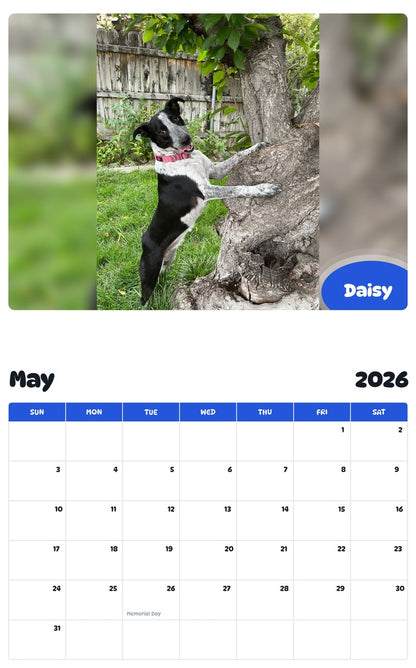 2026 - 2027 Daisy - Pawidols Pet Calendar
