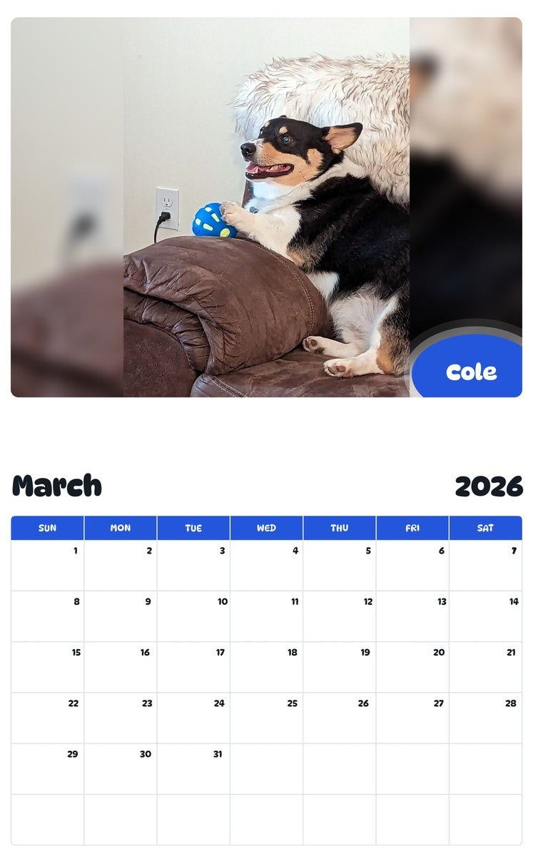 November 2025 - October 2026 Cole - Pawidols Pet Calendar