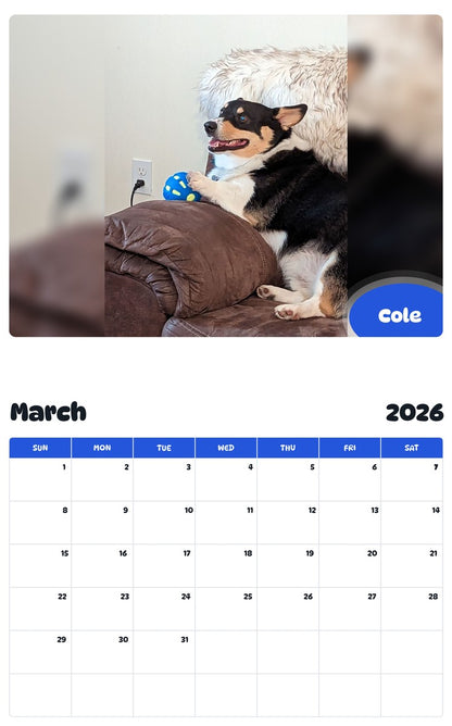 November 2025 - October 2026 Cole - Pawidols Pet Calendar