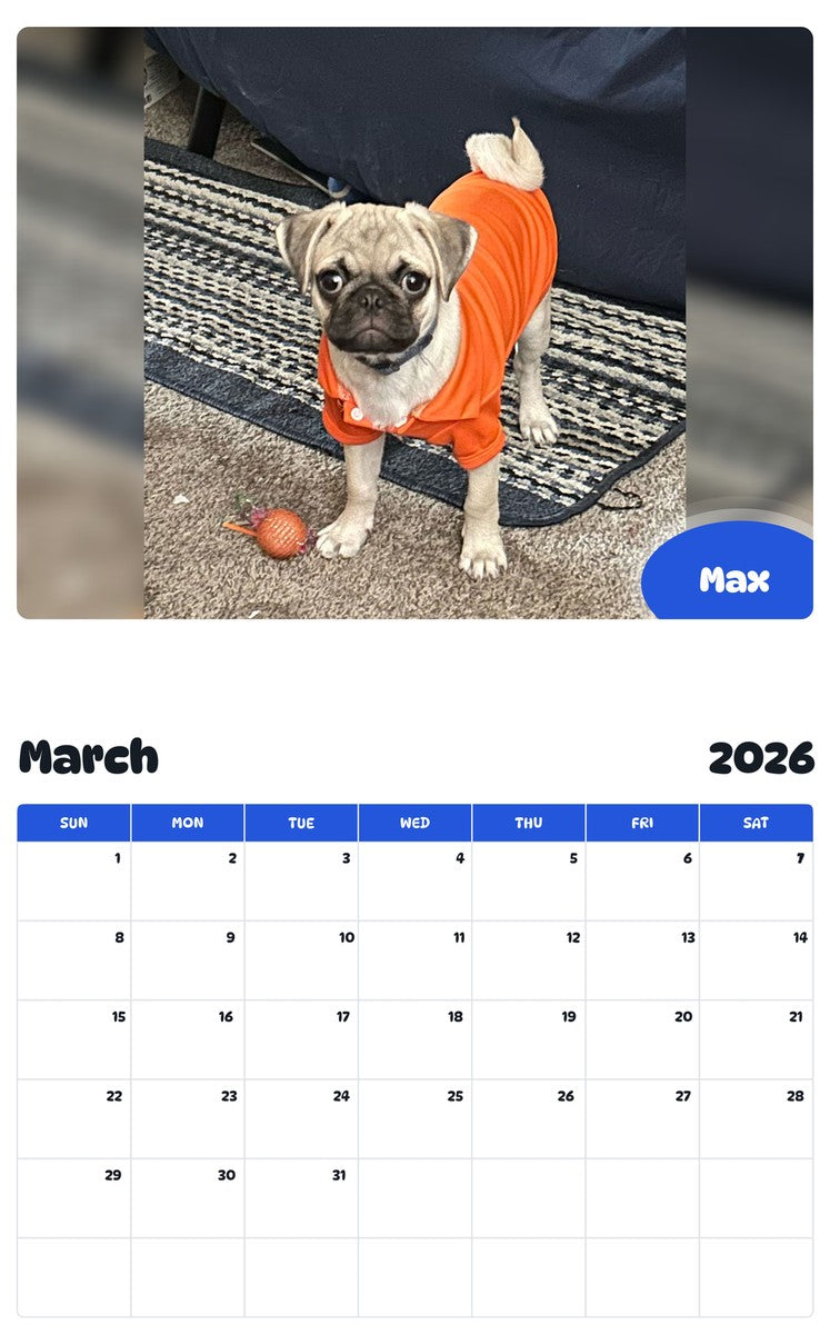 November 2025 - October 2026 Max - Pawidols Pet Calendar