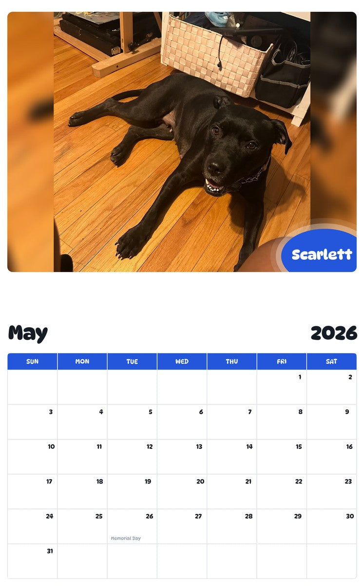 2026 - 2027 Scarlett - Pawidols Pet Calendar