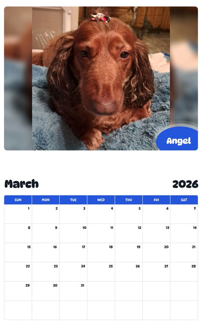 November 2025 - October 2026 Angel - Pawidols Pet Calendar