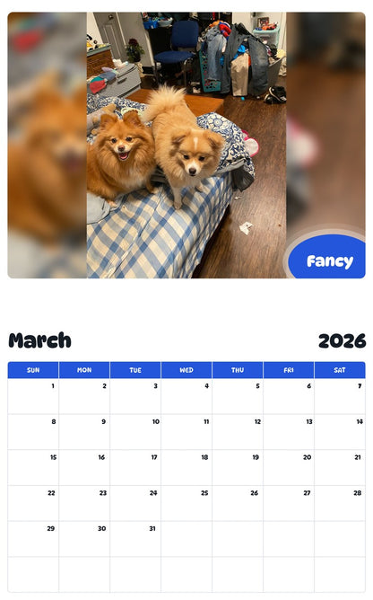 November 2025 - October 2026 Fancy - Pawidols Pet Calendar
