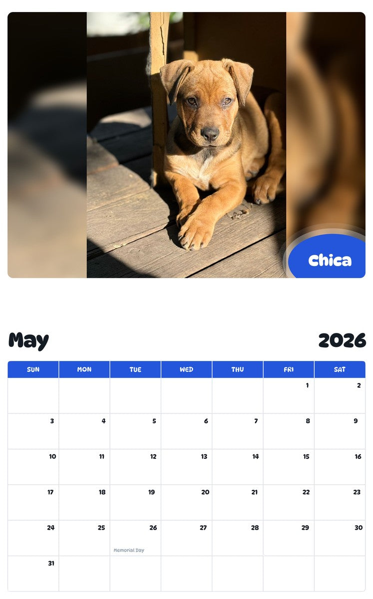 2026 - 2027 Chica - Pawidols Pet Calendar