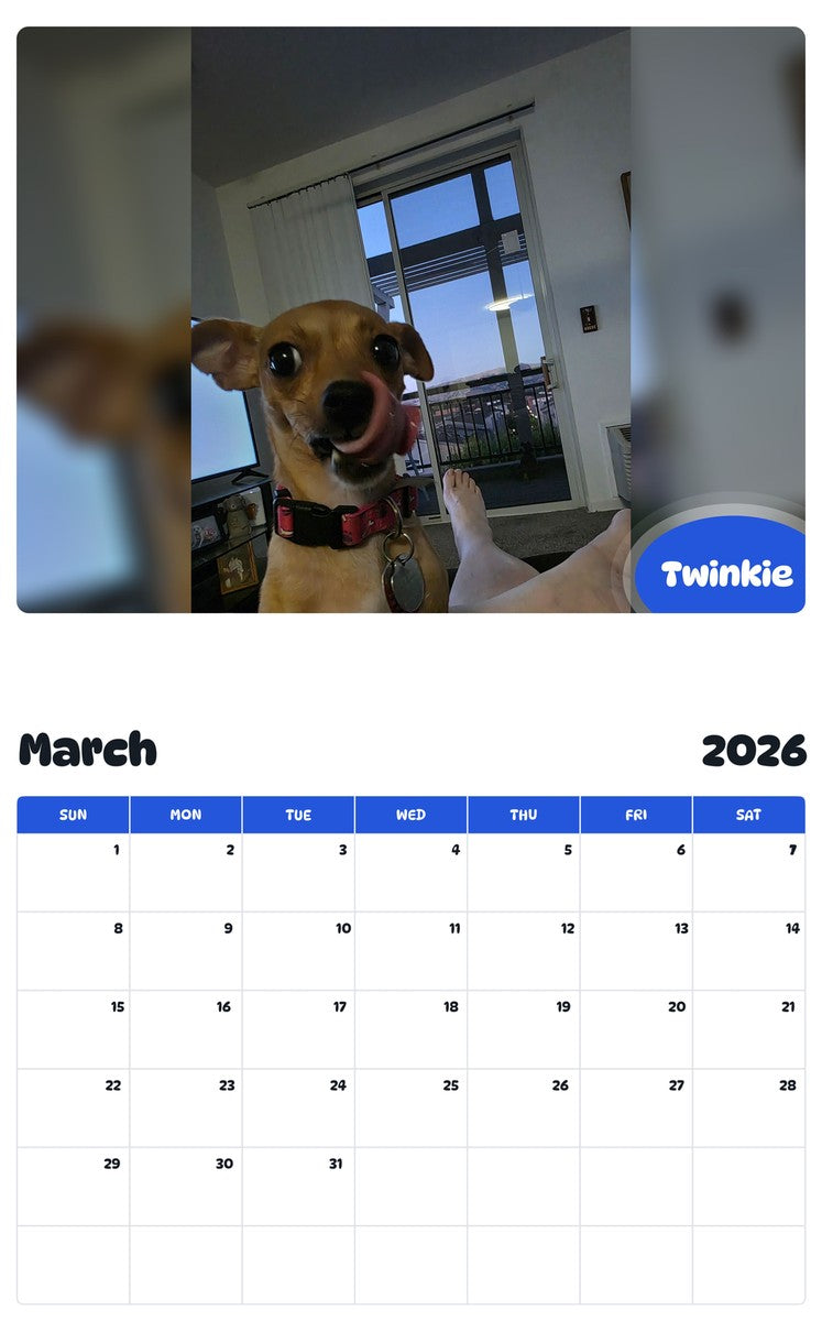November 2025 - October 2026 Twinkie - Pawidols Pet Calendar