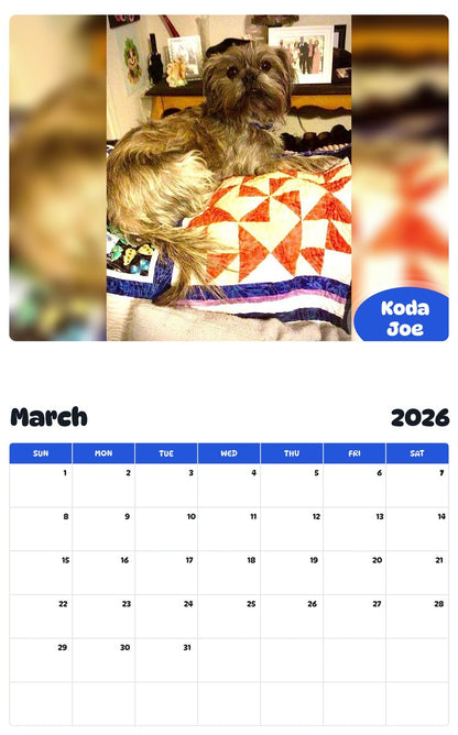 November 2025 - October 2026 Koda Joe - Pawidols Pet Calendar