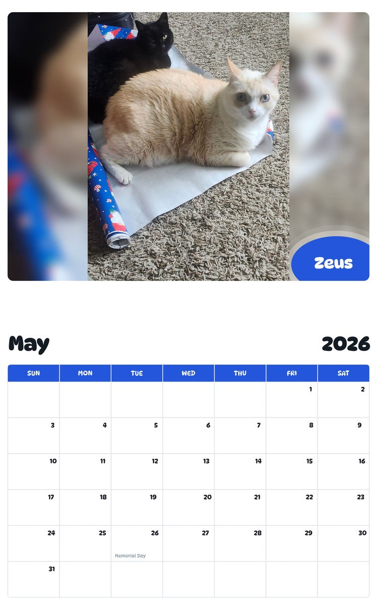 2026 - 2027 Zeus - Pawidols Pet Calendar