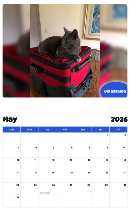 2026 - 2027 Bellissama - Pawidols Pet Calendar