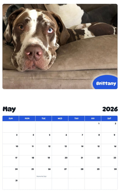 2026 - 2027 Brittany - Pawidols Pet Calendar