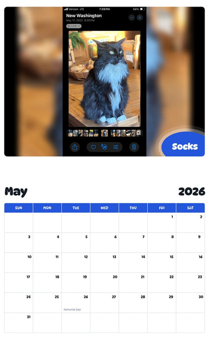 2026 - 2027 Socks - Pawidols Pet Calendar