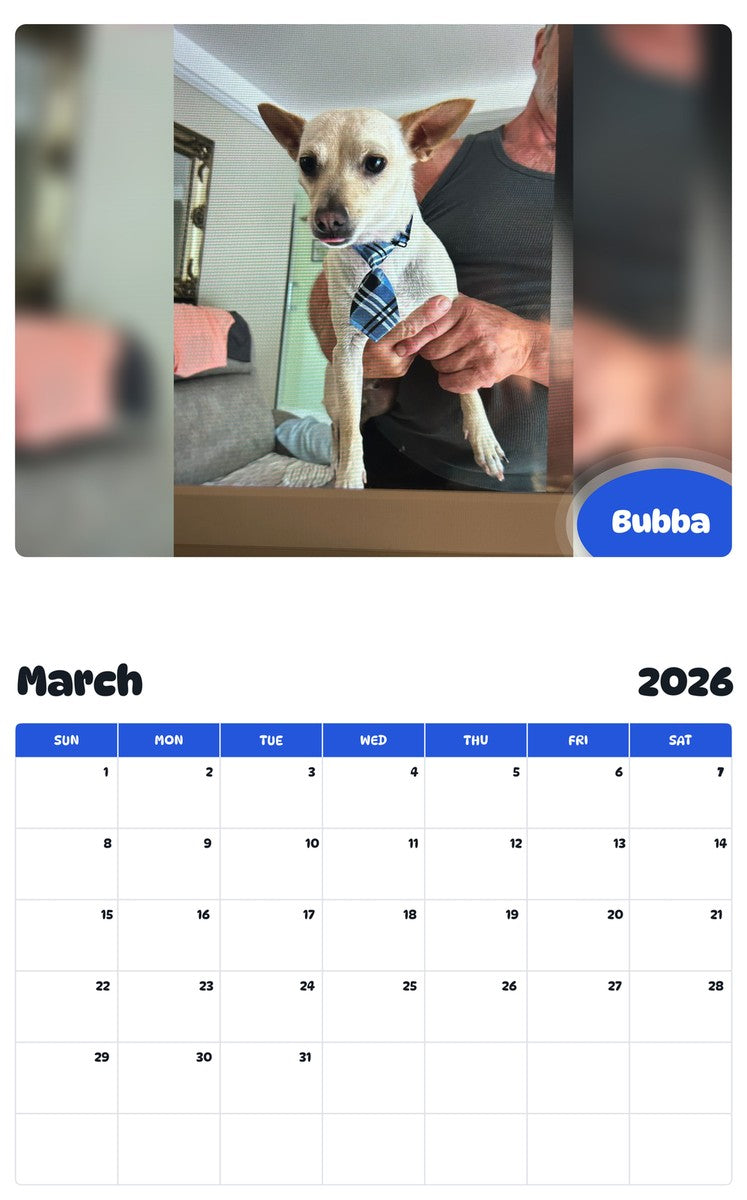 November 2025 - October 2026 Bubba - Pawidols Pet Calendar