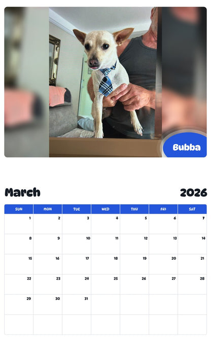 November 2025 - October 2026 Bubba - Pawidols Pet Calendar