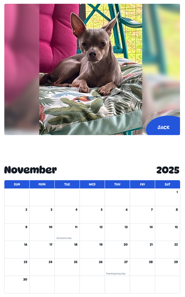July 2025 - June 2026 Jack - Pawidols Pet Calendar