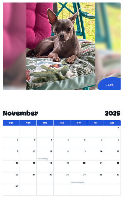 July 2025 - June 2026 Jack - Pawidols Pet Calendar