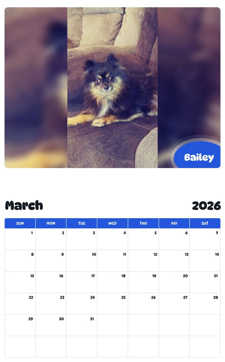 November 2025 - October 2026 Bailey - Pawidols Pet Calendar