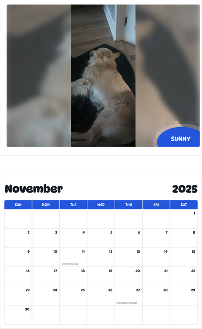 July 2025 - June 2026 Sunny - Pawidols Pet Calendar