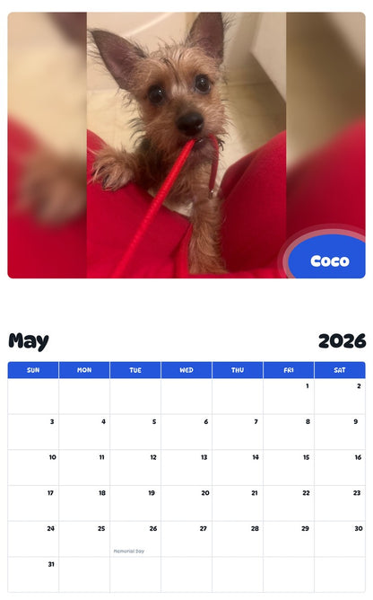 2026 - 2027 Coco - Pawidols Pet Calendar