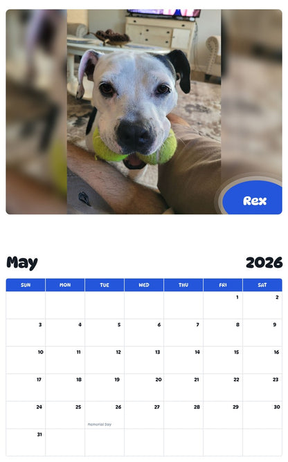 2026 - 2027 Rex - Pawidols Pet Calendar