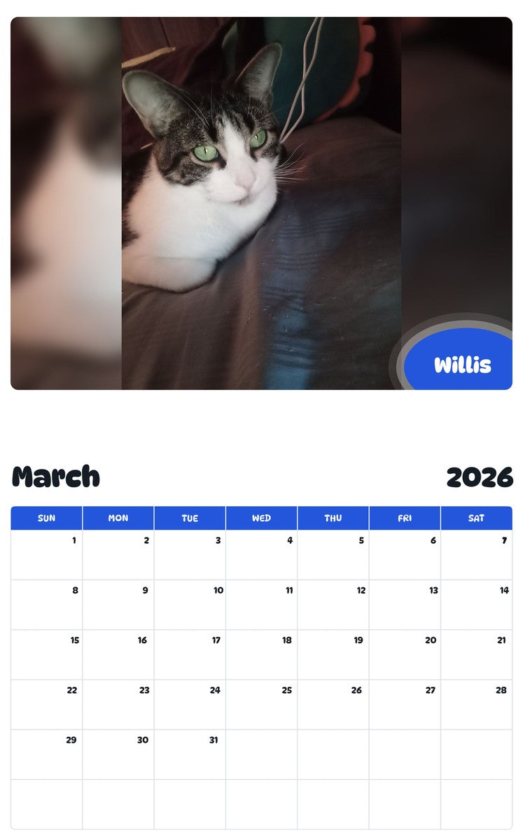 November 2025 - October 2026 Willis - Pawidols Pet Calendar