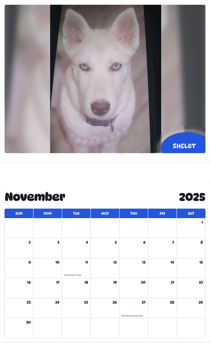 July 2025 - June 2026 Shelby - Pawidols Pet Calendar