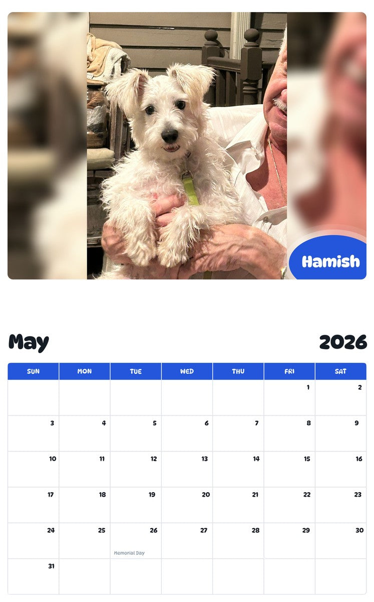 2026 - 2027 Hamish - Pawidols Pet Calendar