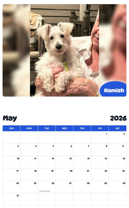 2026 - 2027 Hamish - Pawidols Pet Calendar
