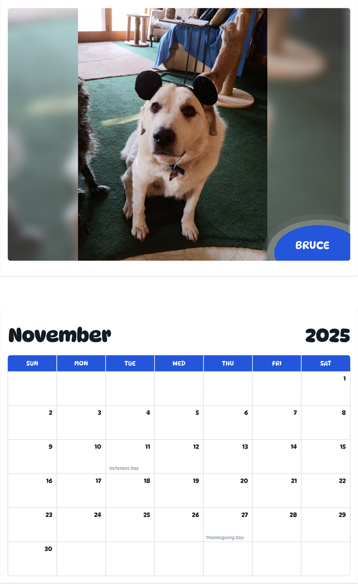 July 2025 - June 2026 Bruce - Pawidols Pet Calendar