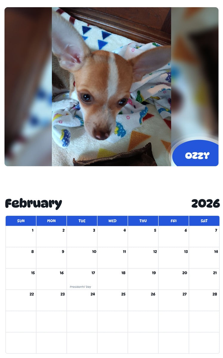 October 2025 - September 2026 OZZY - Pawidols Pet Calendar