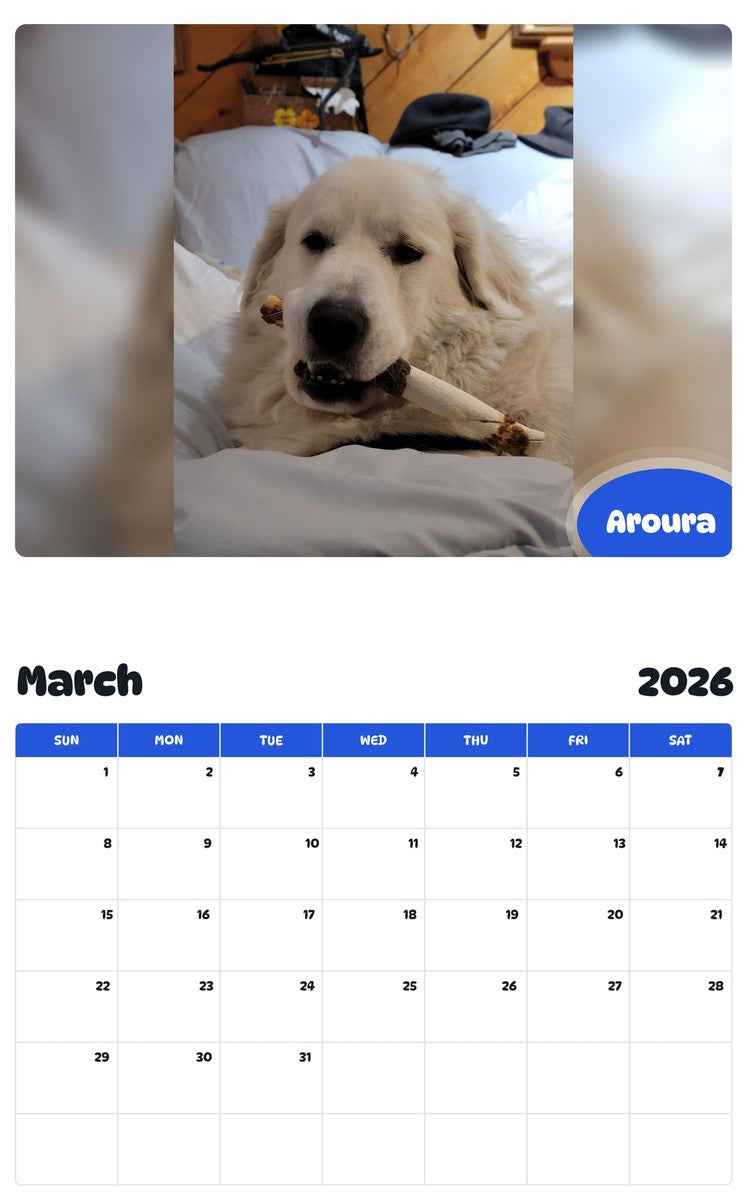 November 2025 - October 2026 Aroura - Pawidols Pet Calendar