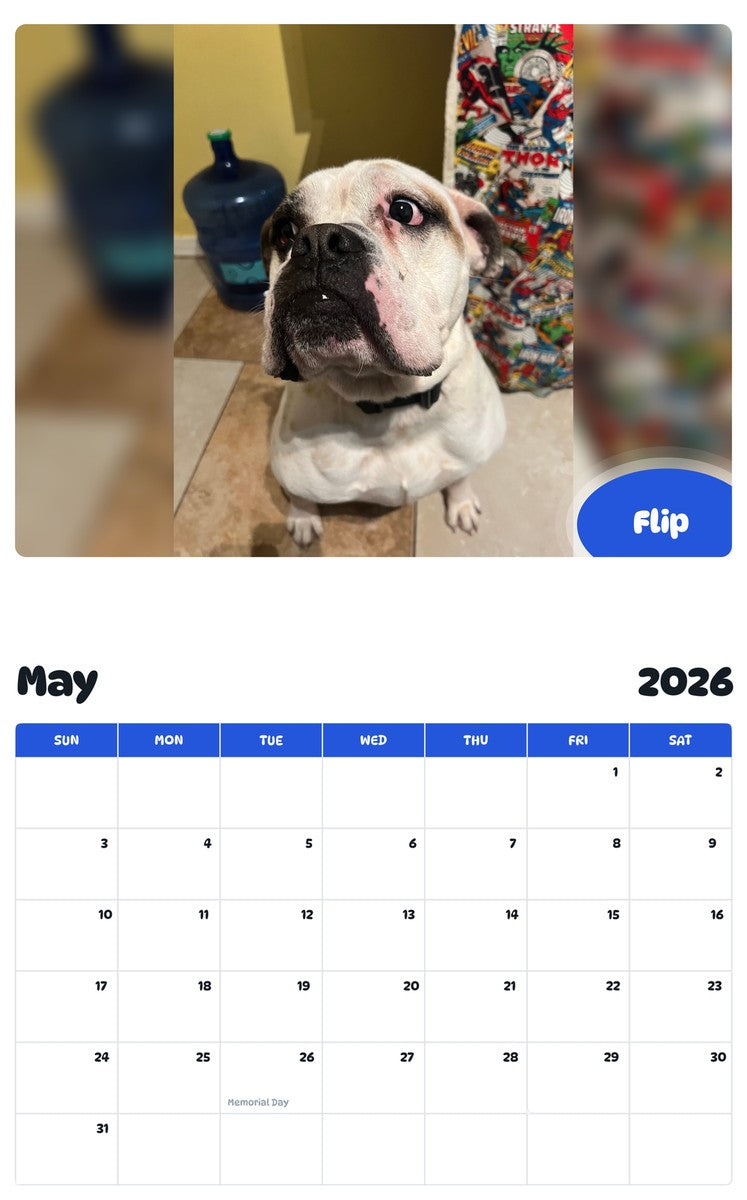 2026 - 2027 Flip - Pawidols Pet Calendar