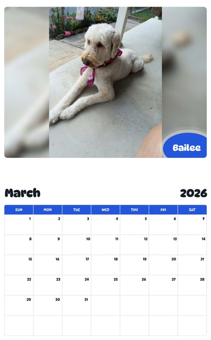November 2025 - October 2026 Bailee - Pawidols Pet Calendar