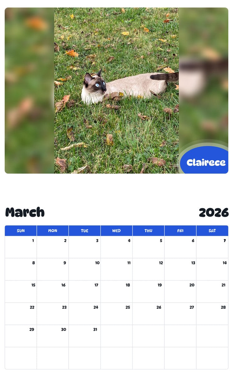 November 2025 - October 2026 Clairece - Pawidols Pet Calendar
