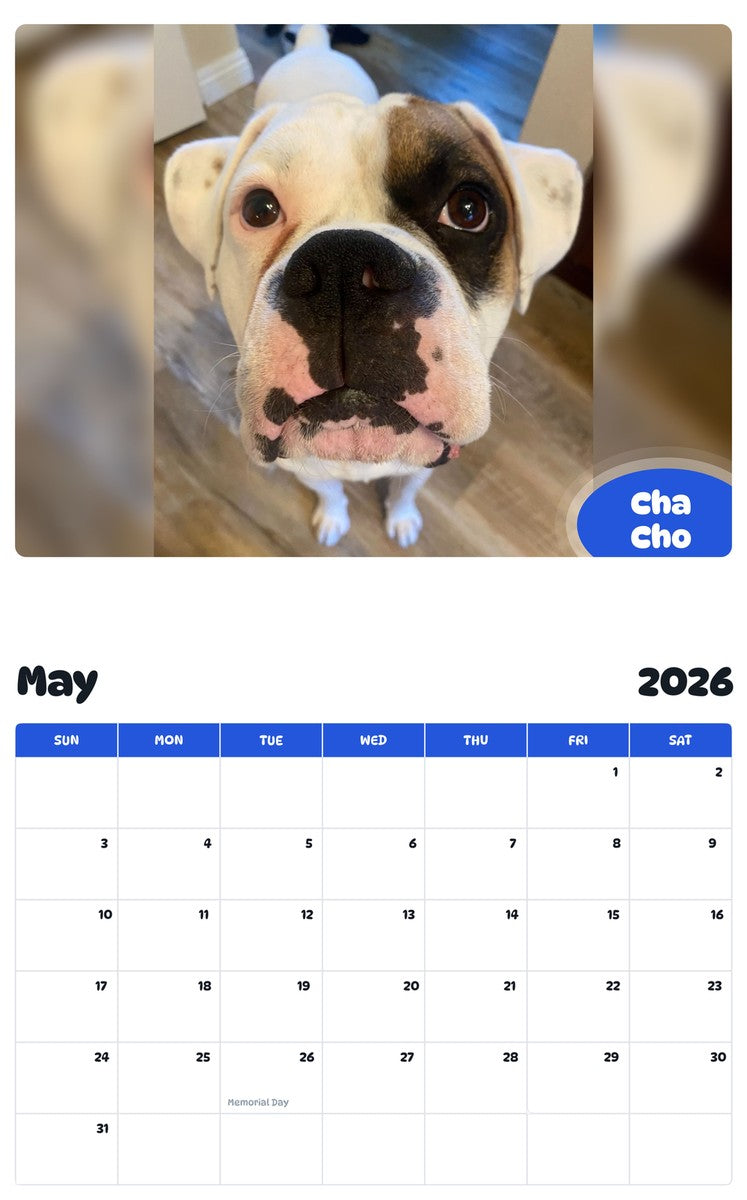 2026 - 2027 Cha Cho - Pawidols Pet Calendar