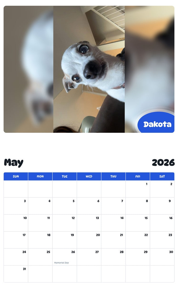 2026 - 2027 Dakota - Pawidols Pet Calendar