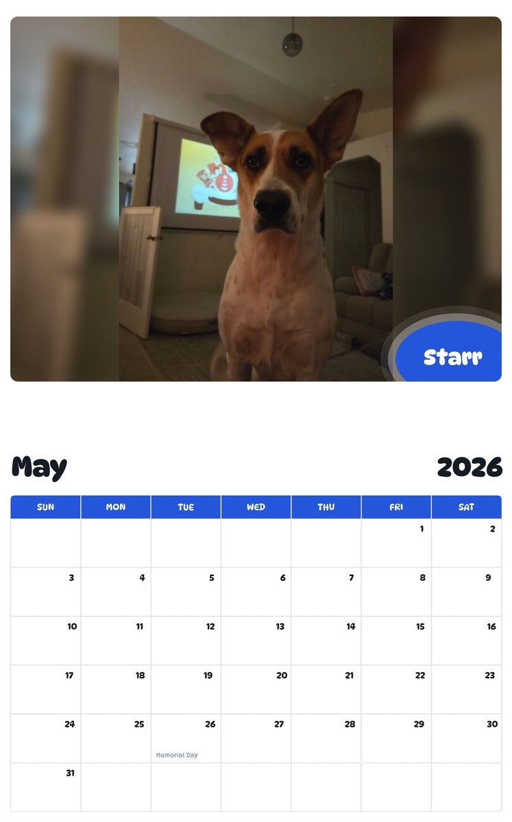 2026 - 2027 Starr - Pawidols Pet Calendar