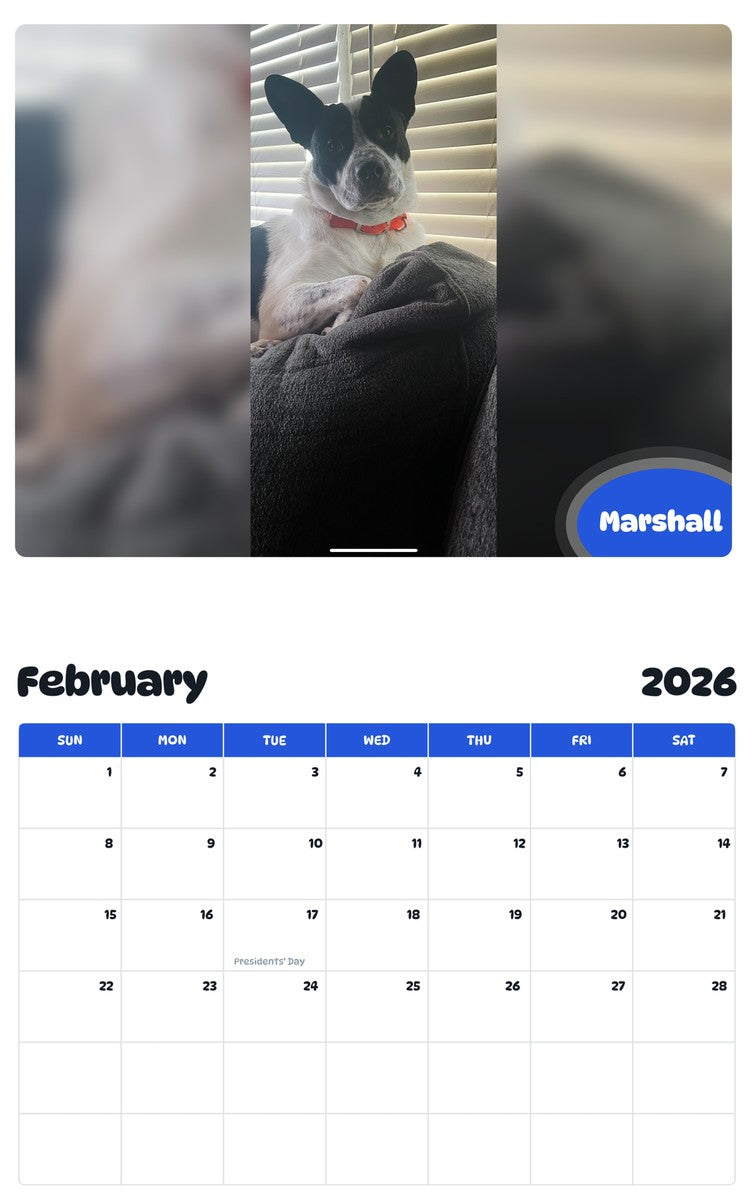 November 2025 - October 2026 Marshall - Pawidols Pet Calendar