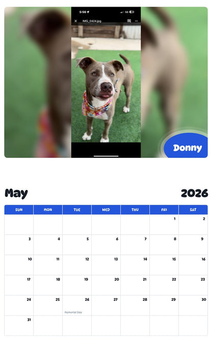 2026 - 2027 Donny - Pawidols Pet Calendar