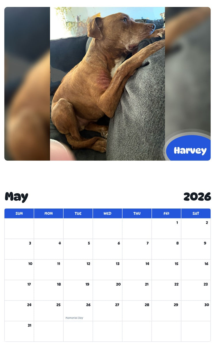 2026 - 2027 Harvey - Pawidols Pet Calendar