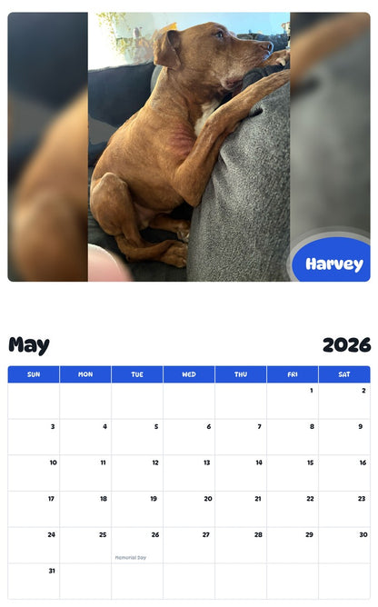 2026 - 2027 Harvey - Pawidols Pet Calendar