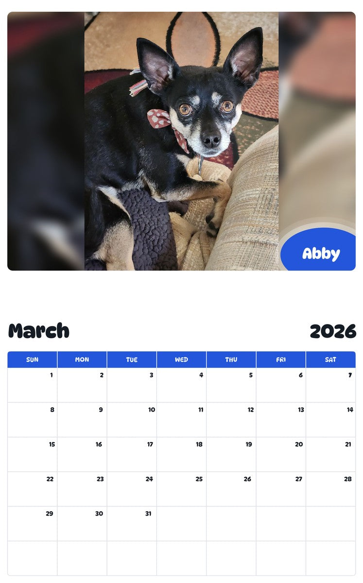 November 2025 - October 2026 Abby - Pawidols Pet Calendar