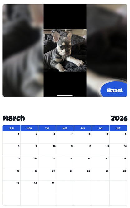 November 2025 - October 2026 Hazel - Pawidols Pet Calendar