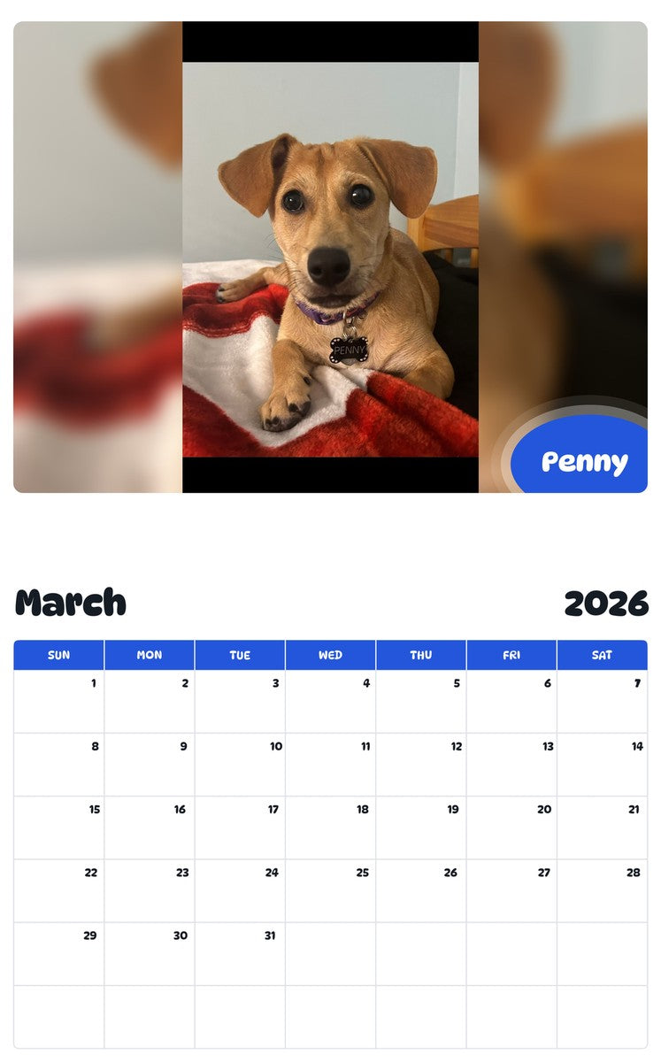 November 2025 - October 2026 Penny - Pawidols Pet Calendar