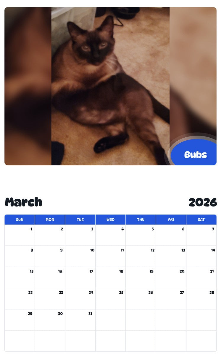 November 2025 - October 2026 Bubs - Pawidols Pet Calendar