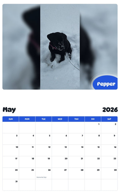 2026 - 2027 Pepper - Pawidols Pet Calendar