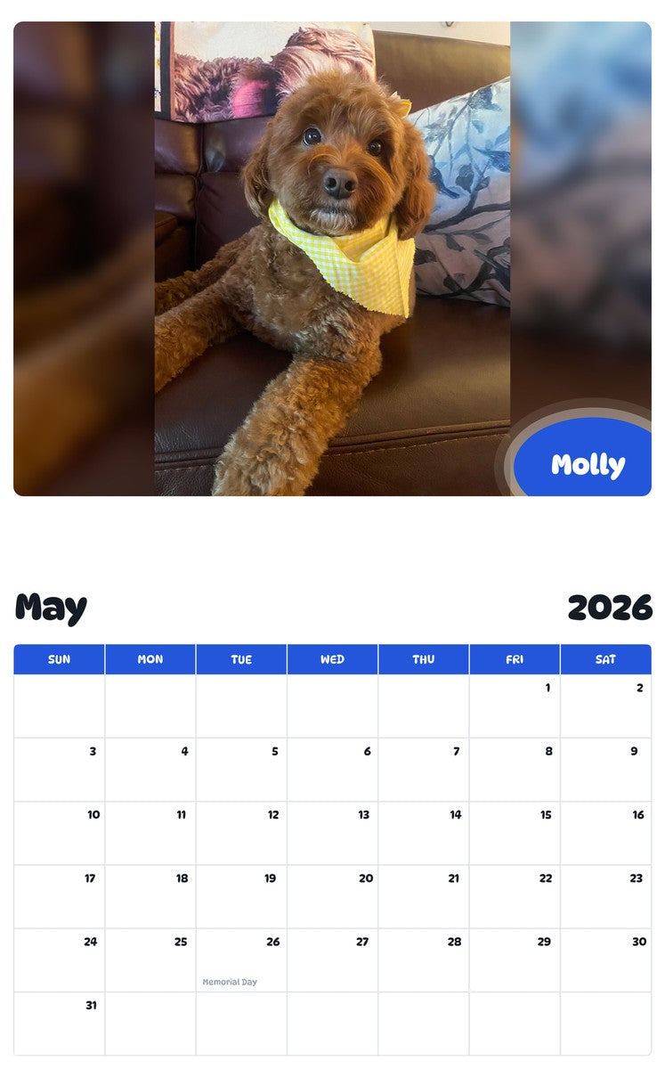 2026 - 2027 Molly - Pawidols Pet Calendar