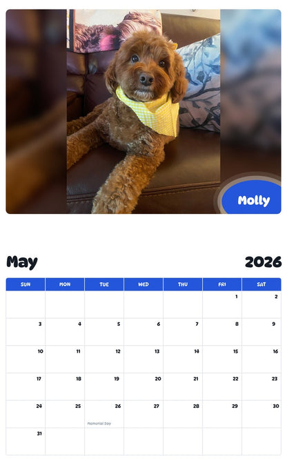 2026 - 2027 Molly - Pawidols Pet Calendar