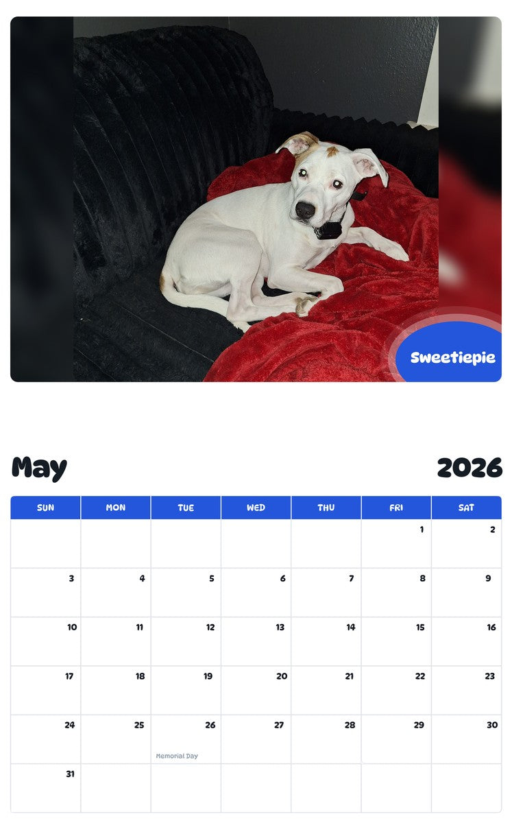2026 - 2027 Sweetiepie - Pawidols Pet Calendar