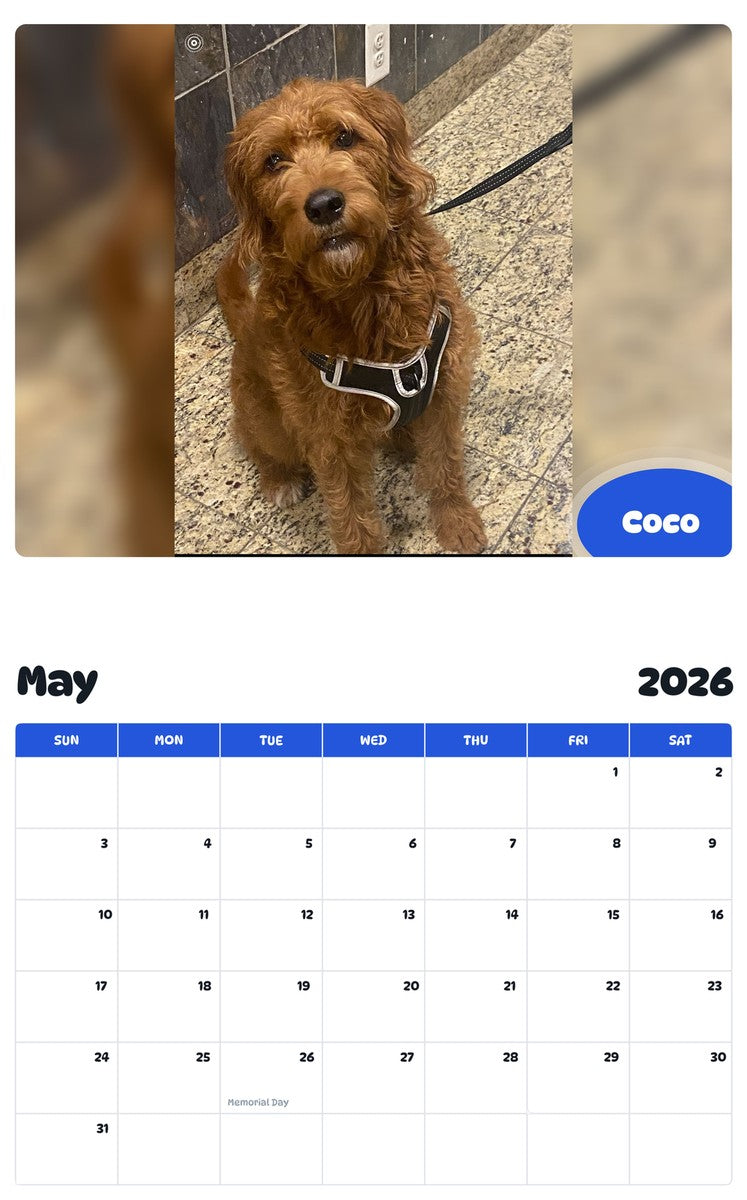 2026 - 2027 Coco - Pawidols Pet Calendar