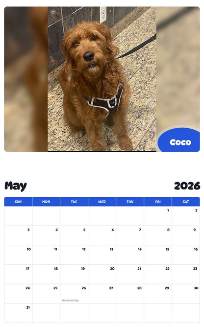 2026 - 2027 Coco - Pawidols Pet Calendar