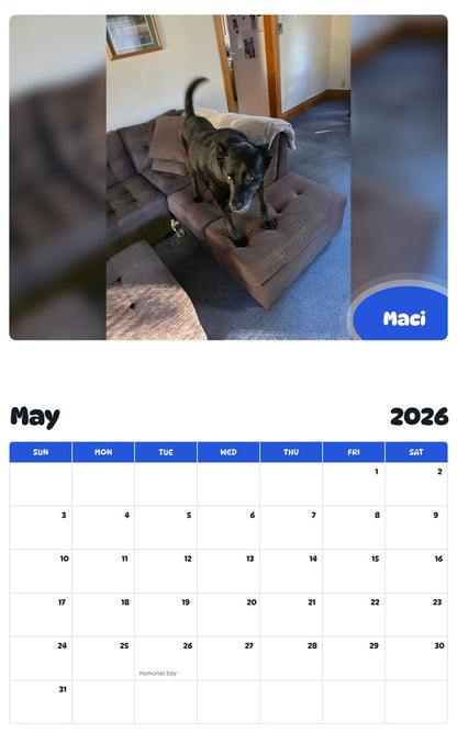 2026 - 2027 Maci - Pawidols Pet Calendar